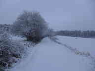 PC240769.jpg